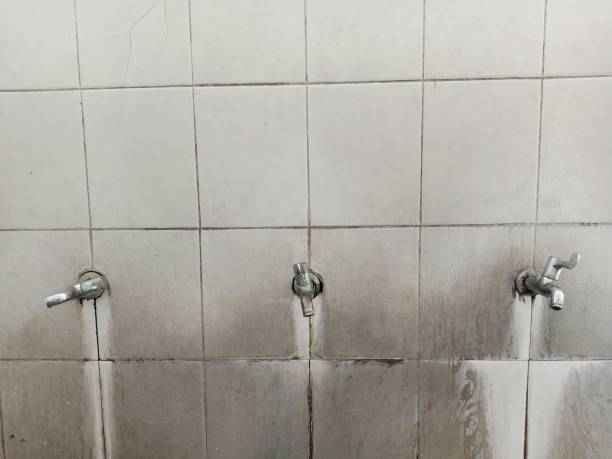 Best 24/7 water damage repair  in Loudonville, OH