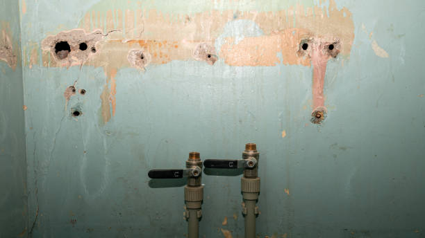 Best 24-hour water damage restoration  in Loudonville, OH